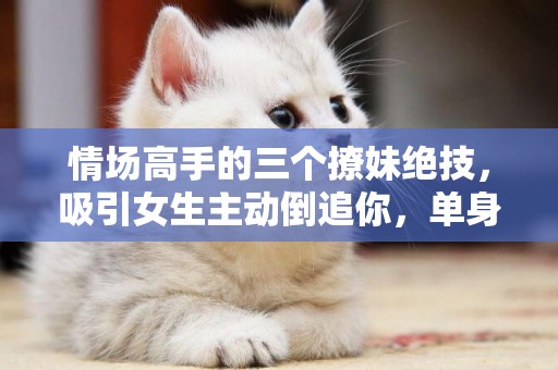 情場高手的三個撩妹絕技，吸引女生主動倒追你，單身狗快學