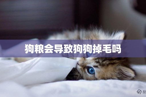 狗糧會導致狗狗掉毛嗎