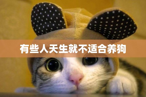 有些人天生就不適合養狗