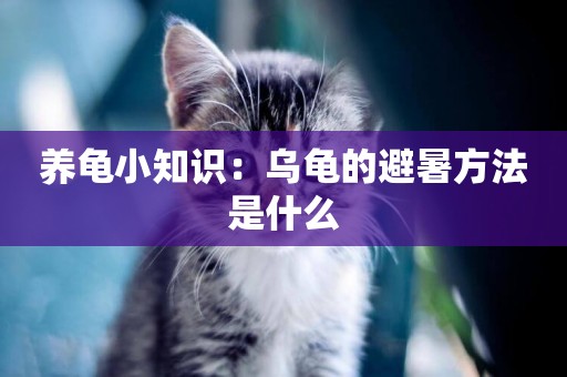 養龜小知識：烏龜的避暑方法是什么