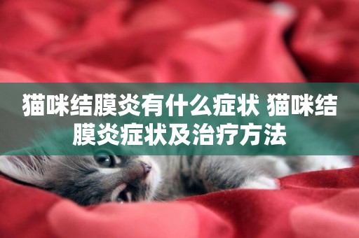 貓咪結膜炎有什么癥狀 貓咪結膜炎癥狀及治療方法