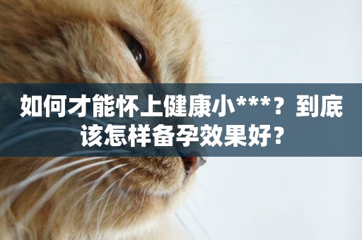如何才能懷上健康小***？到底該怎樣備孕效果好？