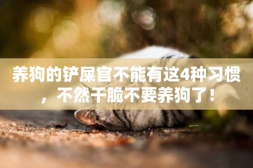 養狗的鏟屎官不能有這4種習慣，不然干脆不要養狗了！