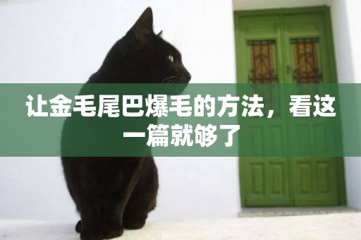 讓金毛尾巴爆毛的方法，看這一篇就夠了