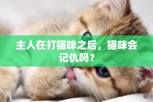 主人在打貓咪之后，貓咪會記仇嗎？