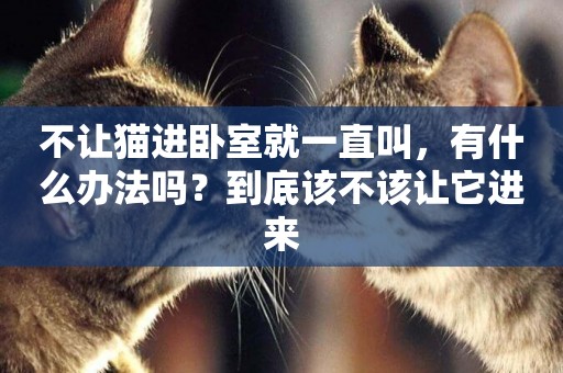 不讓貓進臥室就一直叫，有什么辦法嗎？到底該不該讓它進來