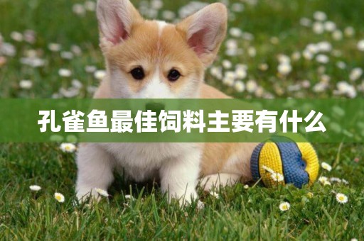孔雀魚最佳飼料主要有什么