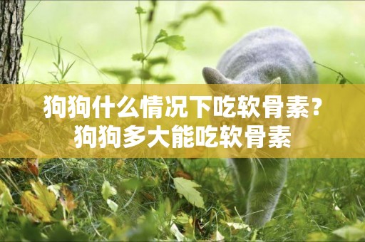 狗狗什么情況下吃軟骨素？狗狗多大能吃軟骨素