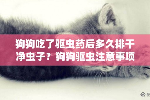狗狗吃了驅蟲藥后多久排干凈蟲子？狗狗驅蟲注意事項