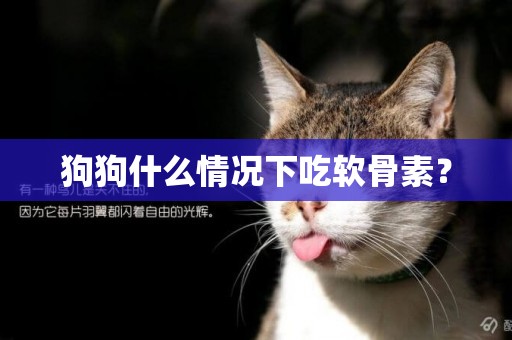 狗狗什么情況下吃軟骨素？