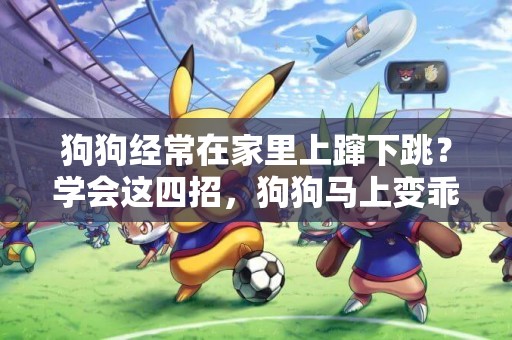 狗狗經常在家里上躥下跳？學會這四招，狗狗馬上變乖