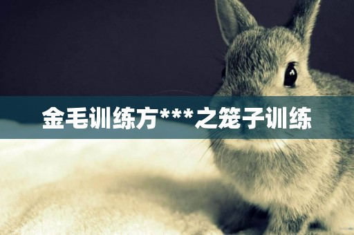 金毛訓練方***之籠子訓練