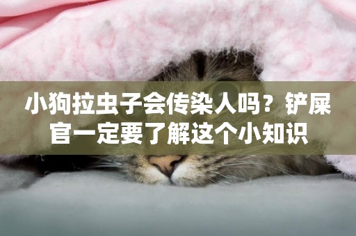 小狗拉蟲子會傳染人嗎？鏟屎官一定要了解這個小知識