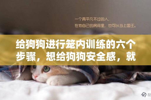 給狗狗進行籠內訓練的六個步驟，想給狗狗安全感，就讓它愛上籠子