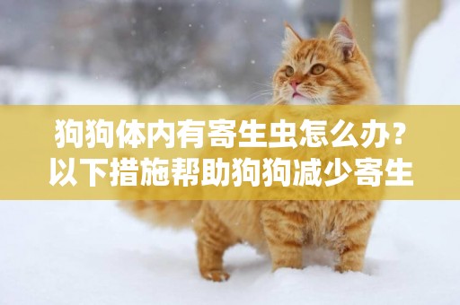 狗狗體內有寄生蟲怎么辦？以下措施幫助狗狗減少寄生蟲的侵擾！