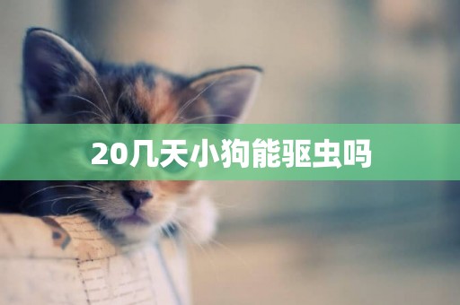 20幾天小狗能驅蟲嗎