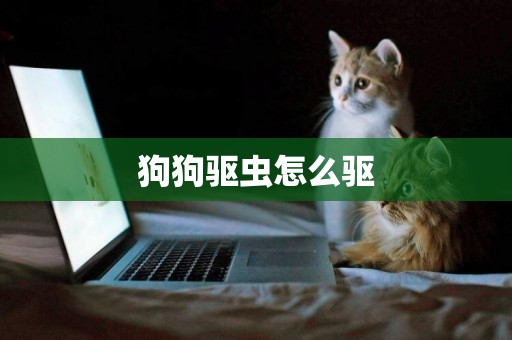 狗狗驅蟲怎么驅