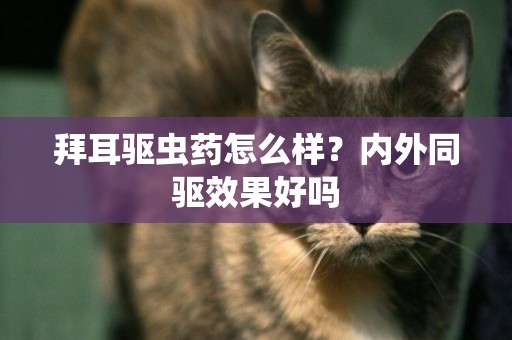拜耳驅蟲藥怎么樣？內外同驅效果好嗎