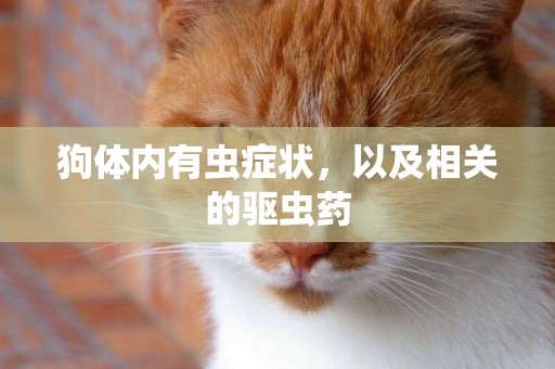 狗體內有蟲癥狀，以及相關的驅蟲藥