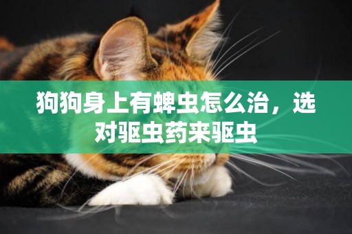 狗狗身上有蜱蟲怎么治，選對驅蟲藥來驅蟲
