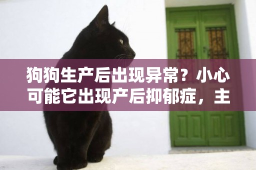 狗狗生產后出現異常？小心可能它出現產后抑郁癥，主人該如何分辨