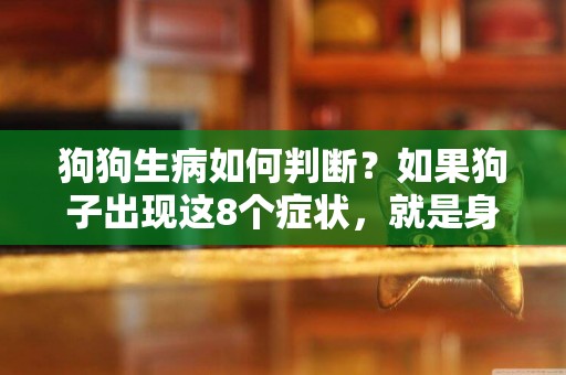 狗狗生病如何判斷？如果狗子出現這8個癥狀，就是身體不適的表現