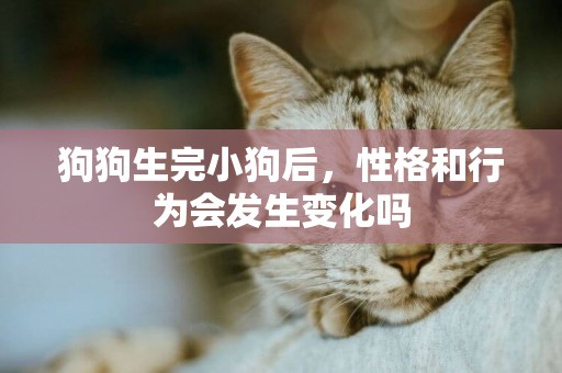 狗狗生完小狗后，性格和行為會發生變化嗎