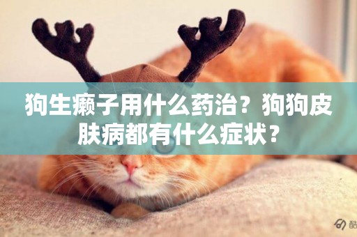 狗生癩子用什么藥治？狗狗皮膚病都有什么癥狀？