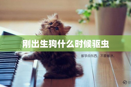 剛出生狗什么時候驅蟲