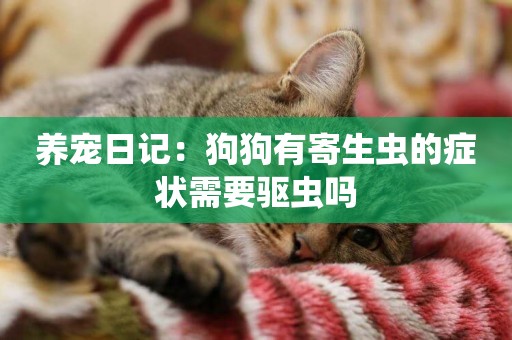 養寵日記：狗狗有寄生蟲的癥狀需要驅蟲嗎