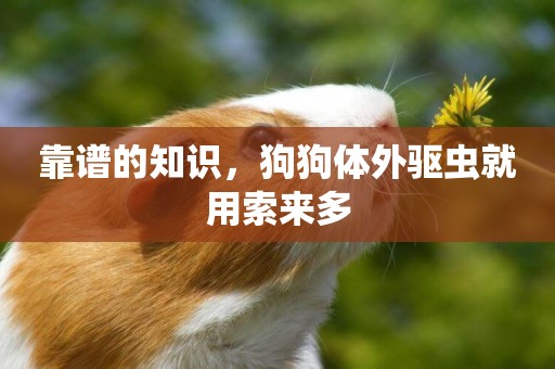 靠譜的知識，狗狗體外驅蟲就用索來多