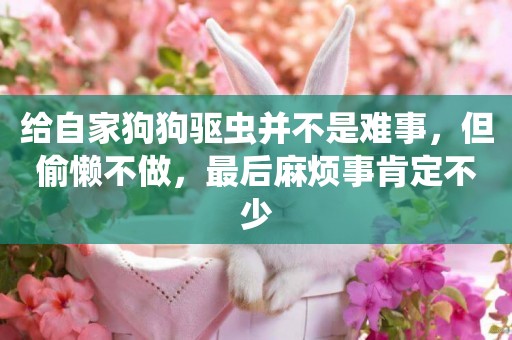 給自家狗狗驅蟲并不是難事，但偷懶不做，最后麻煩事肯定不少