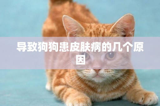 導致狗狗患皮膚病的幾個原因