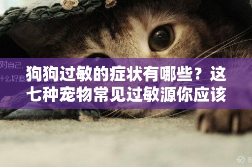 狗狗過敏的癥狀有哪些？這七種寵物常見過敏源你應該知道！