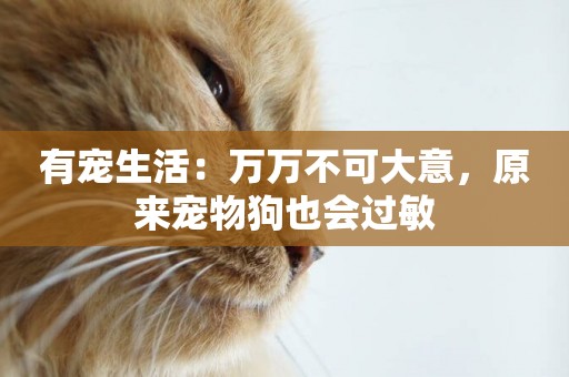有寵生活：萬萬不可大意，原來寵物狗也會過敏