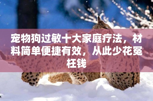 寵物狗過敏十大家庭療法，材料簡單便捷有效，從此少花冤枉錢