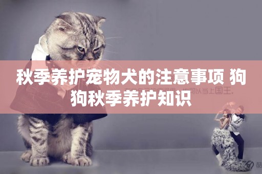 秋季養護寵物犬的注意事項 狗狗秋季養護知識