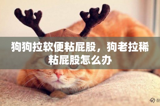 狗狗拉軟便粘屁股，狗老拉稀粘屁股怎么辦