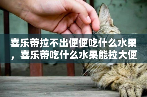 喜樂蒂拉不出便便吃什么水果，喜樂蒂吃什么水果能拉大便