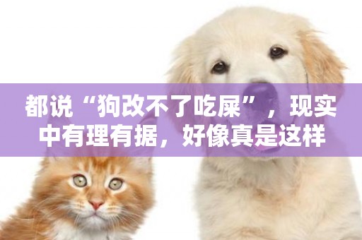 都說“狗改不了吃屎”，現實中有理有據，好像真是這樣