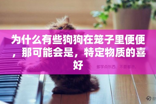 為什么有些狗狗在籠子里便便，那可能會是，特定物質的喜好