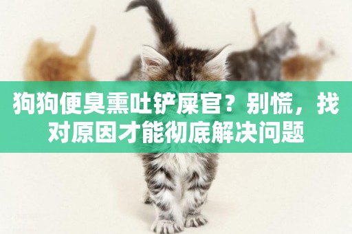 狗狗便臭熏吐鏟屎官？別慌，找對原因才能徹底解決問題