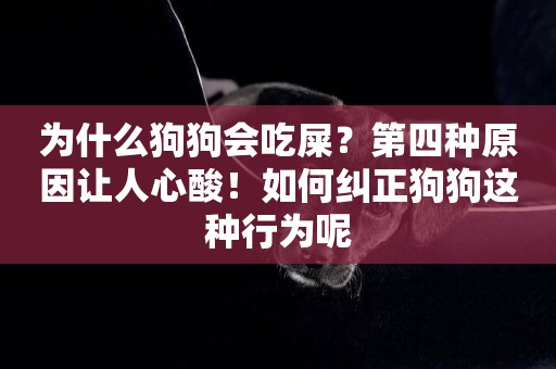 為什么狗狗會吃屎？第四種原因讓人心酸！如何糾正狗狗這種行為呢