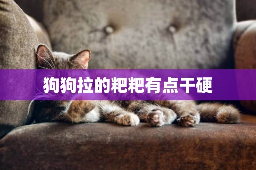 狗狗拉的粑粑有點干硬