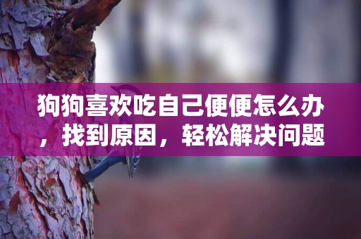 狗狗喜歡吃自己便便怎么辦，找到原因，輕松解決問題
