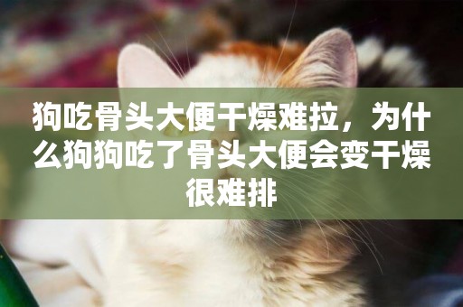 狗吃骨頭大便干燥難拉，為什么狗狗吃了骨頭大便會變干燥很難排