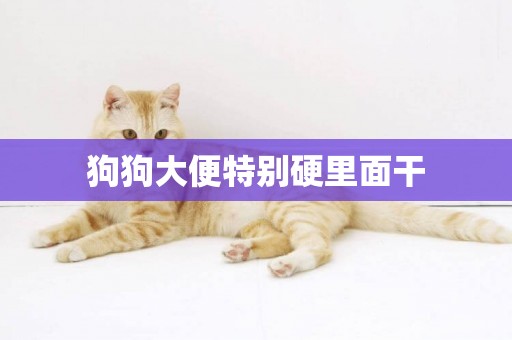 狗狗大便特別硬里面干