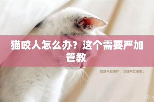 貓咬人怎么辦？這個需要嚴加管教 