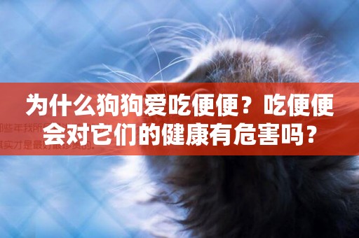 為什么狗狗愛吃便便？吃便便會對它們的健康有危害嗎？