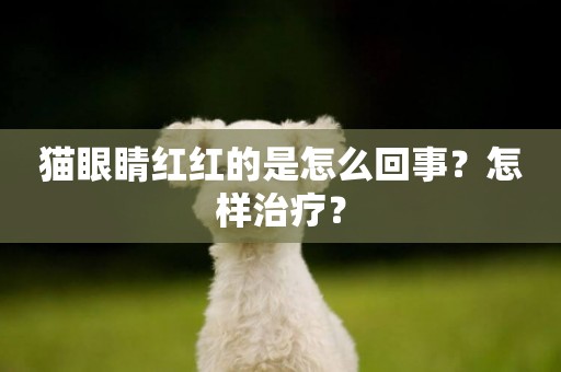 貓眼睛紅紅的是怎么回事？怎樣治療？